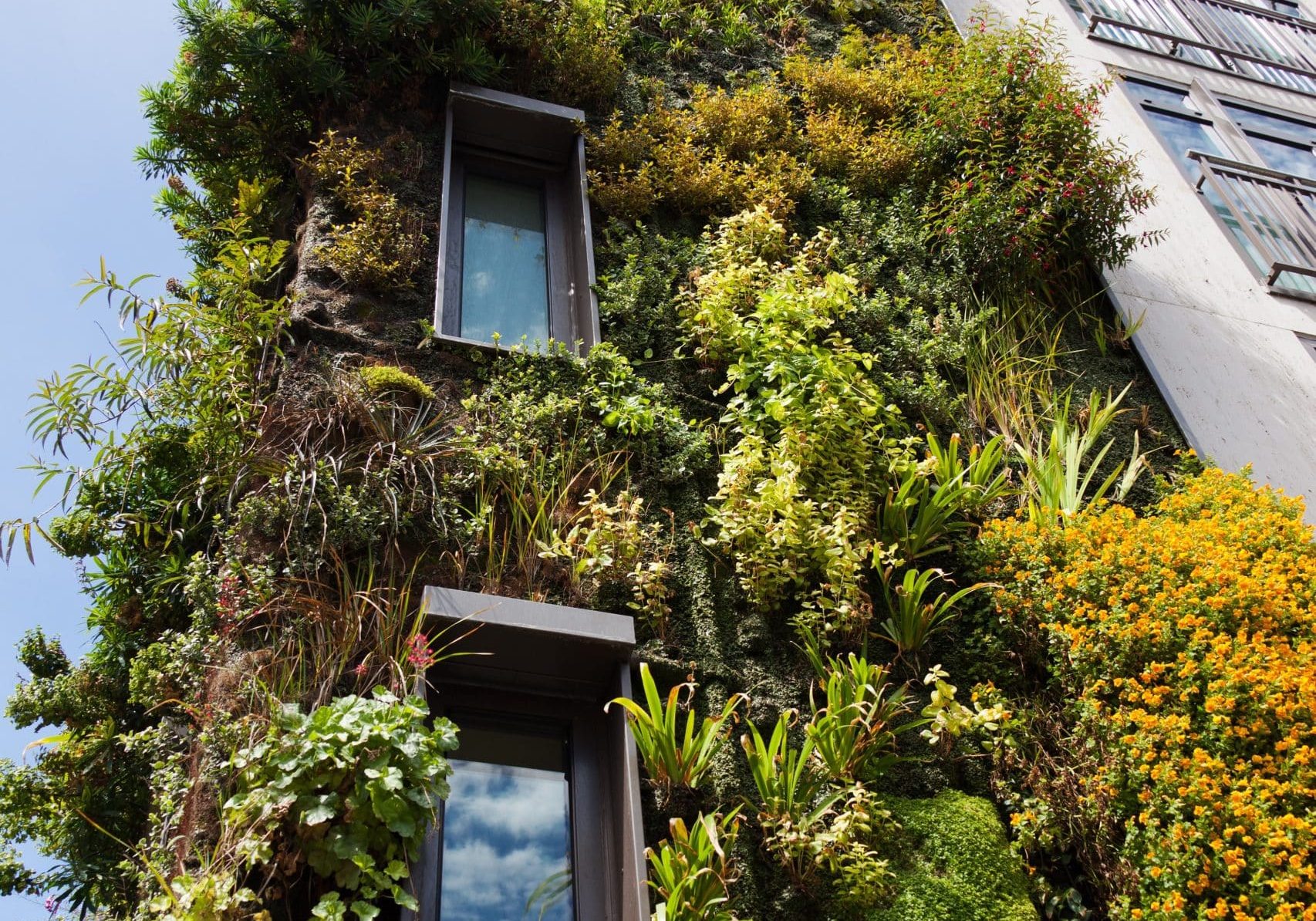 Living Green Wall Architecture-21702